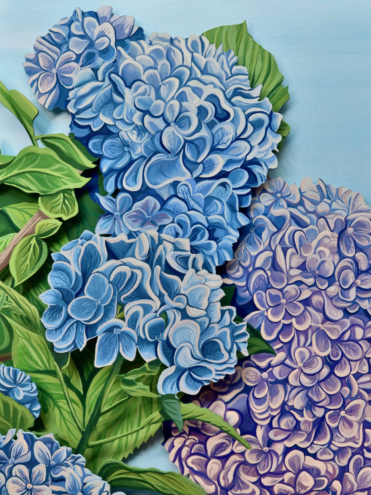 Kate's Hydrangea Limited Edition Print