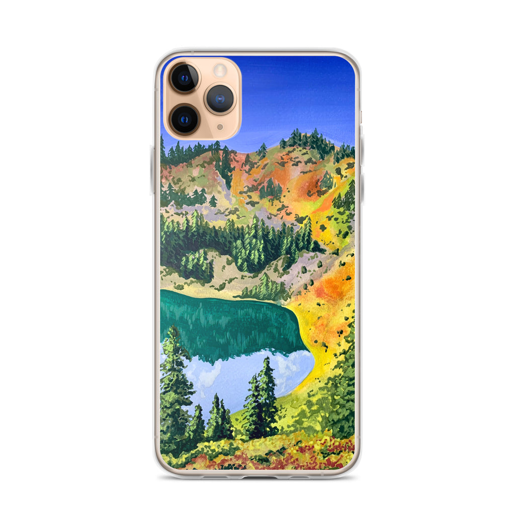 Olympic National Park iPhone Case