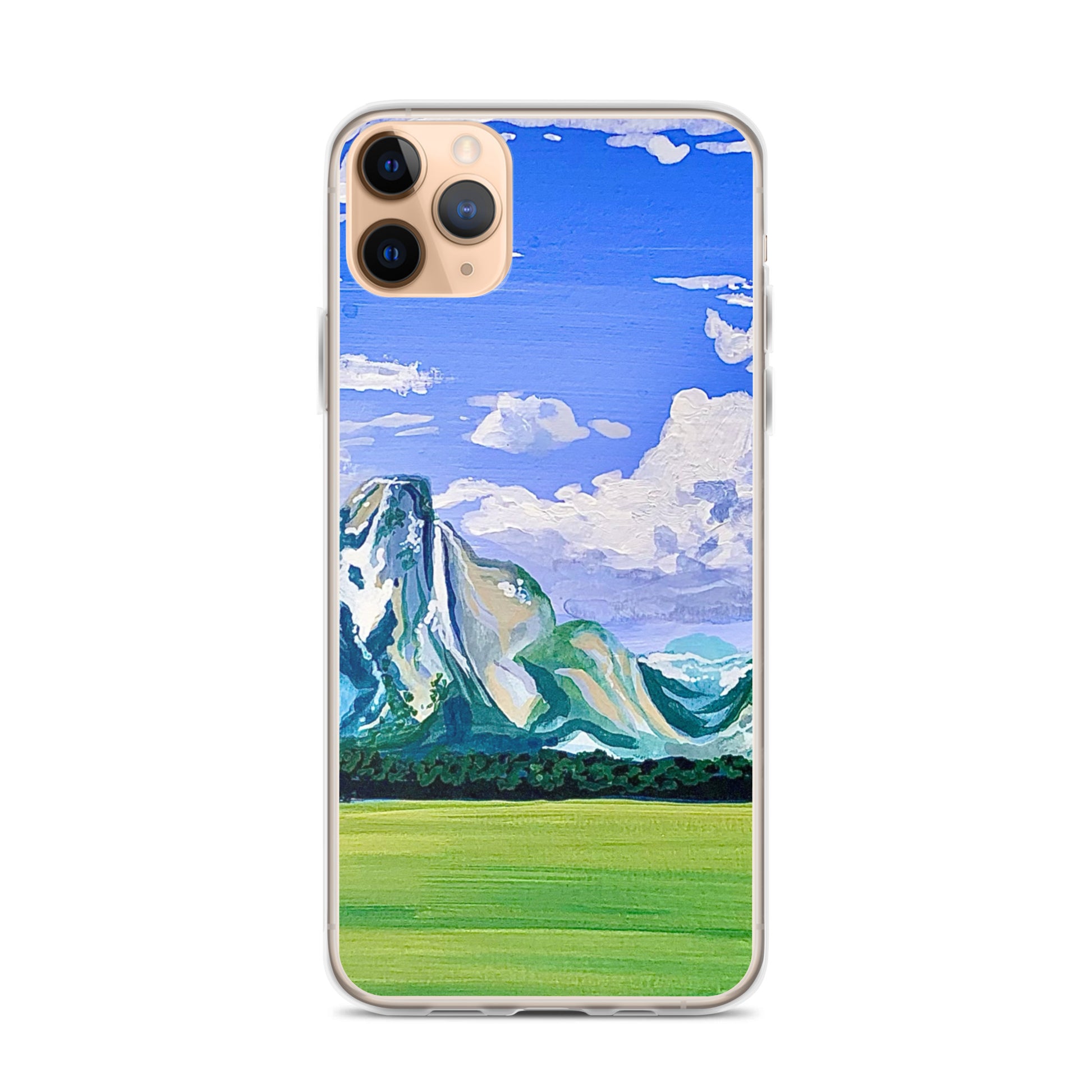 Grand Teton National Park iPhone Case