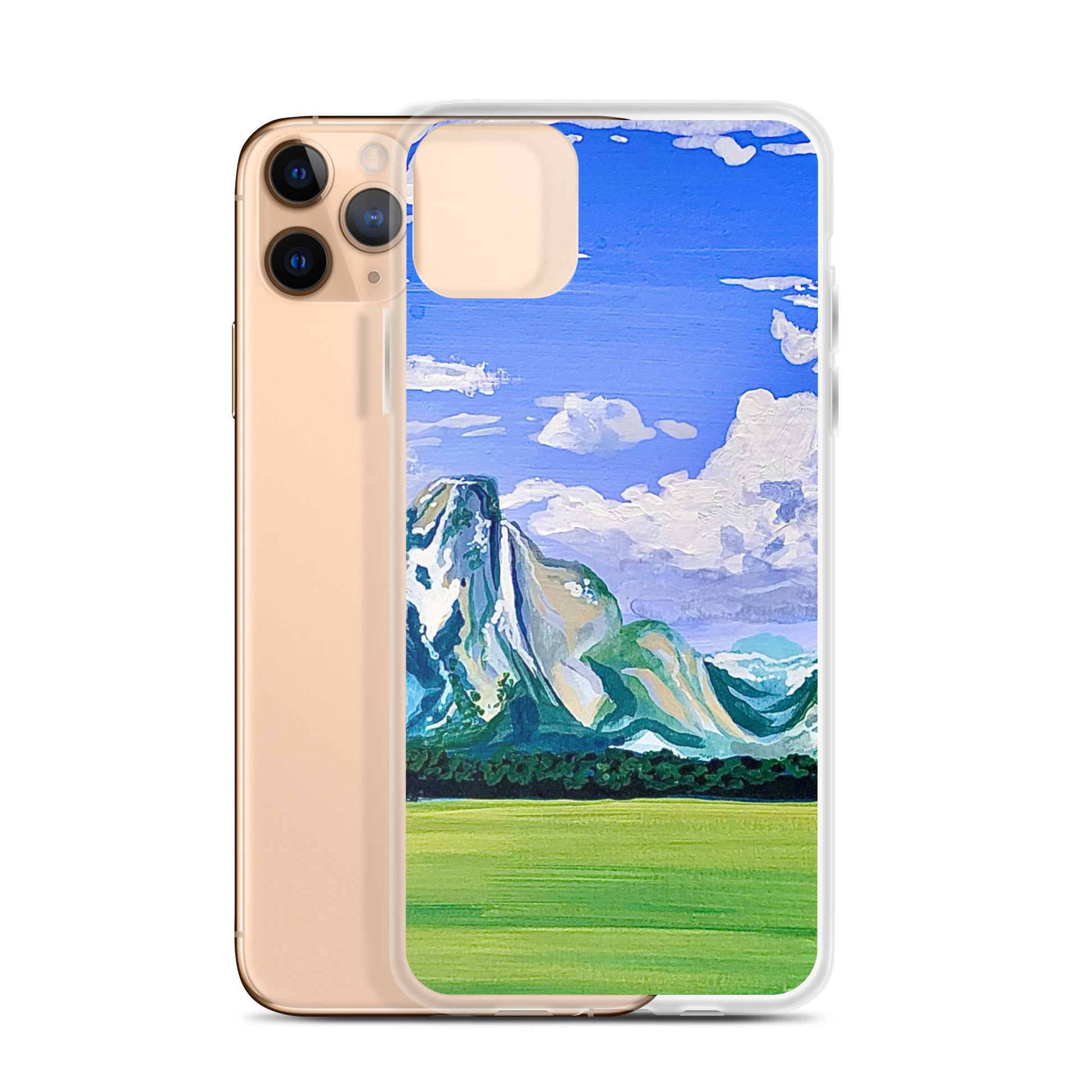 Grand Teton National Park iPhone Case