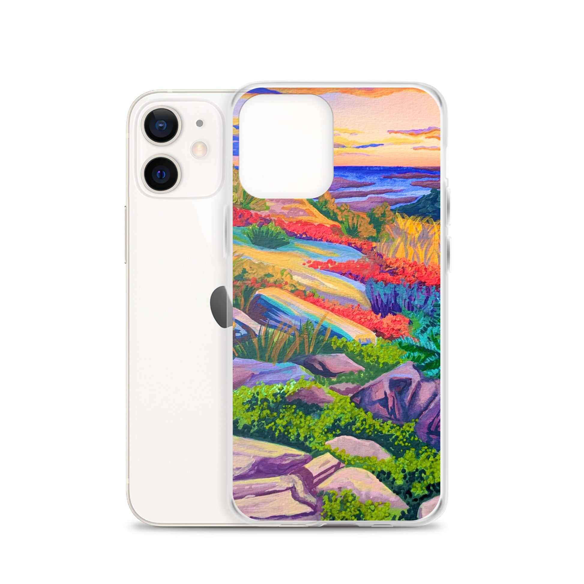 Acadia National Park iPhone Case