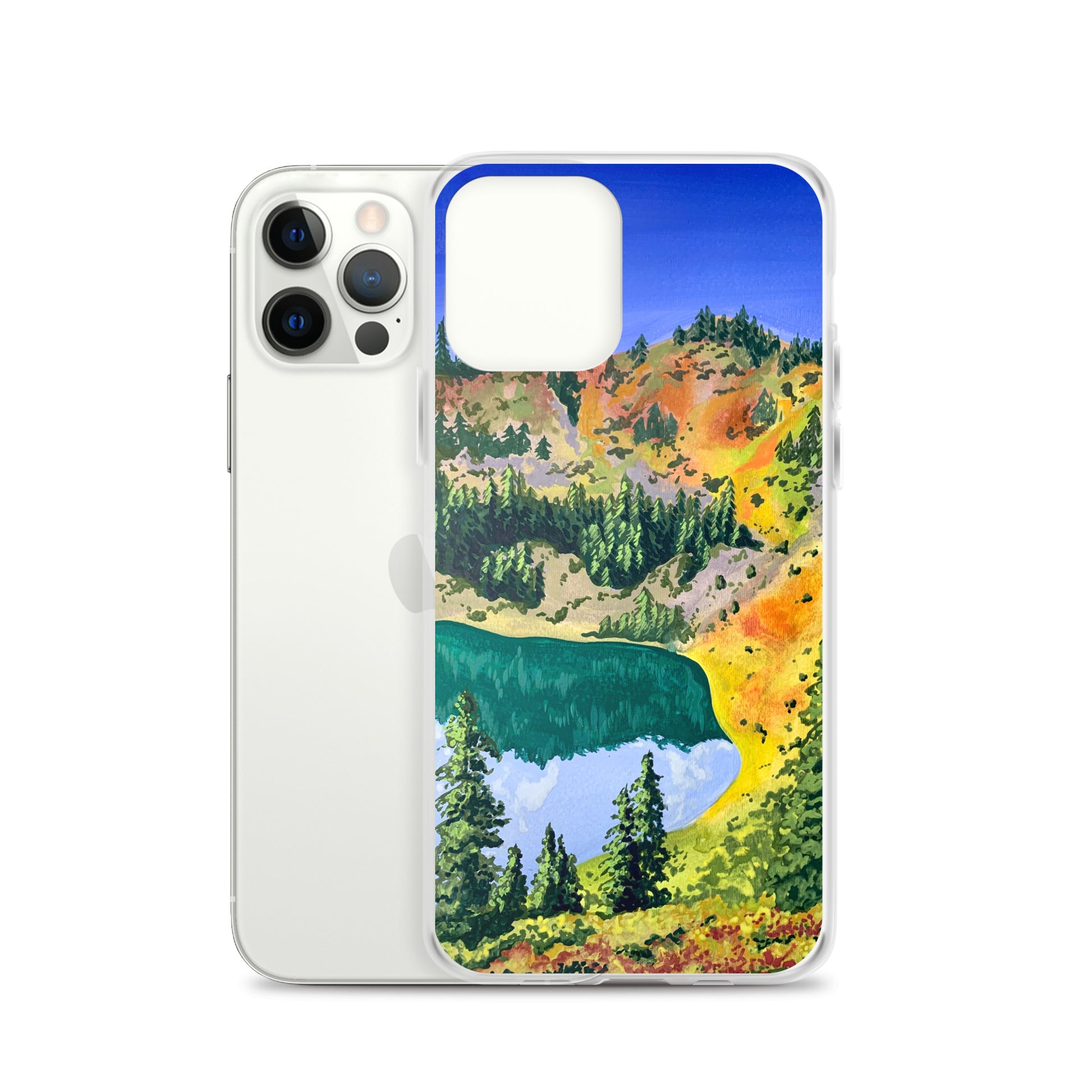 Olympic National Park iPhone Case