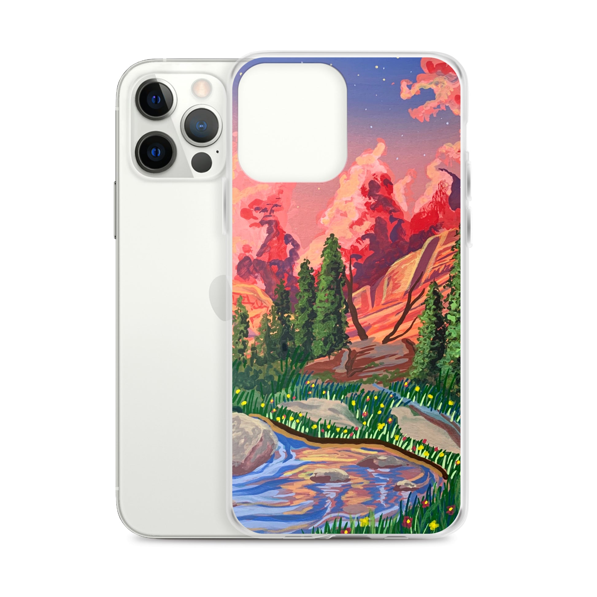 Rocky Mountain National Park iPhone Case
