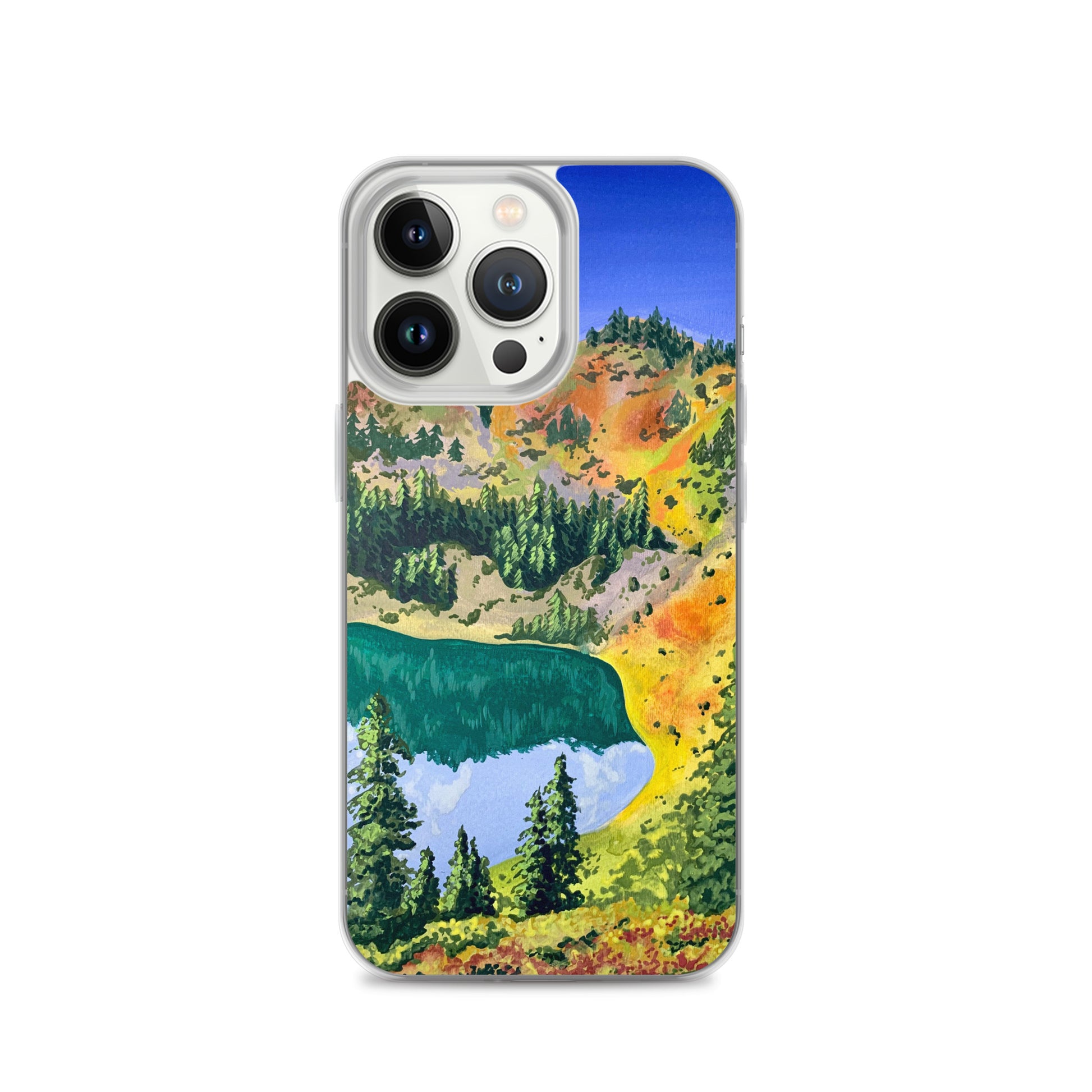 Olympic National Park iPhone Case