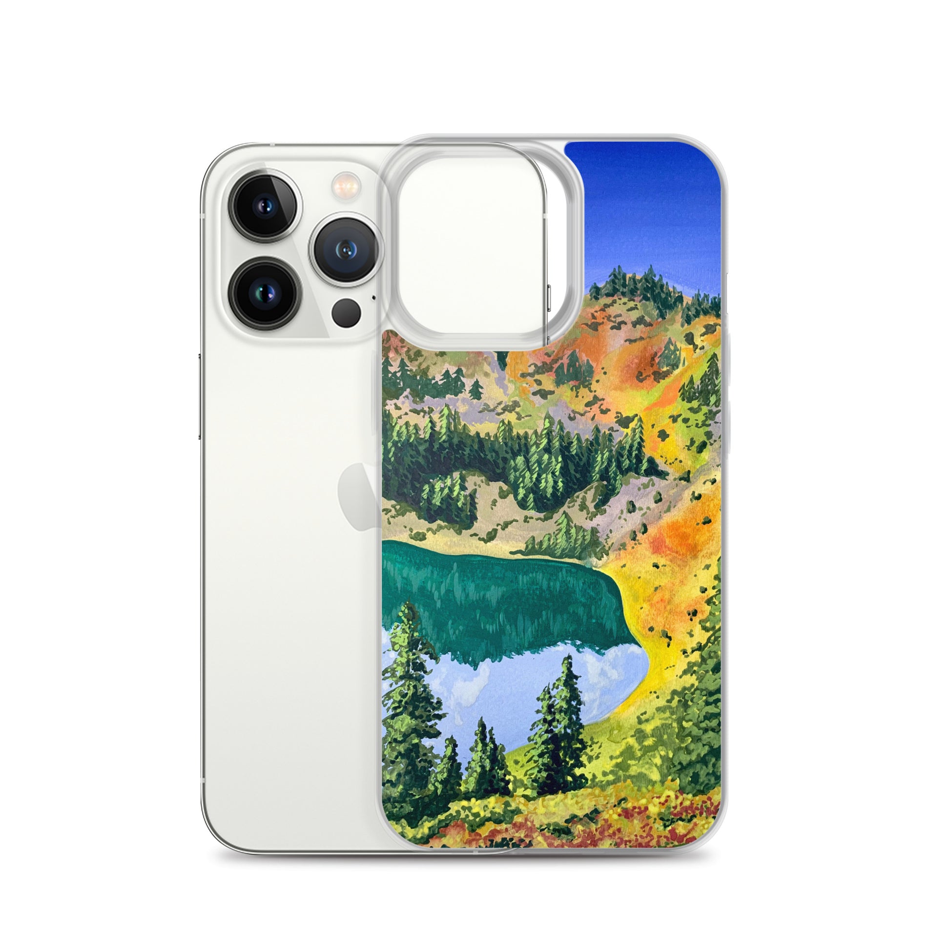 Olympic National Park iPhone Case