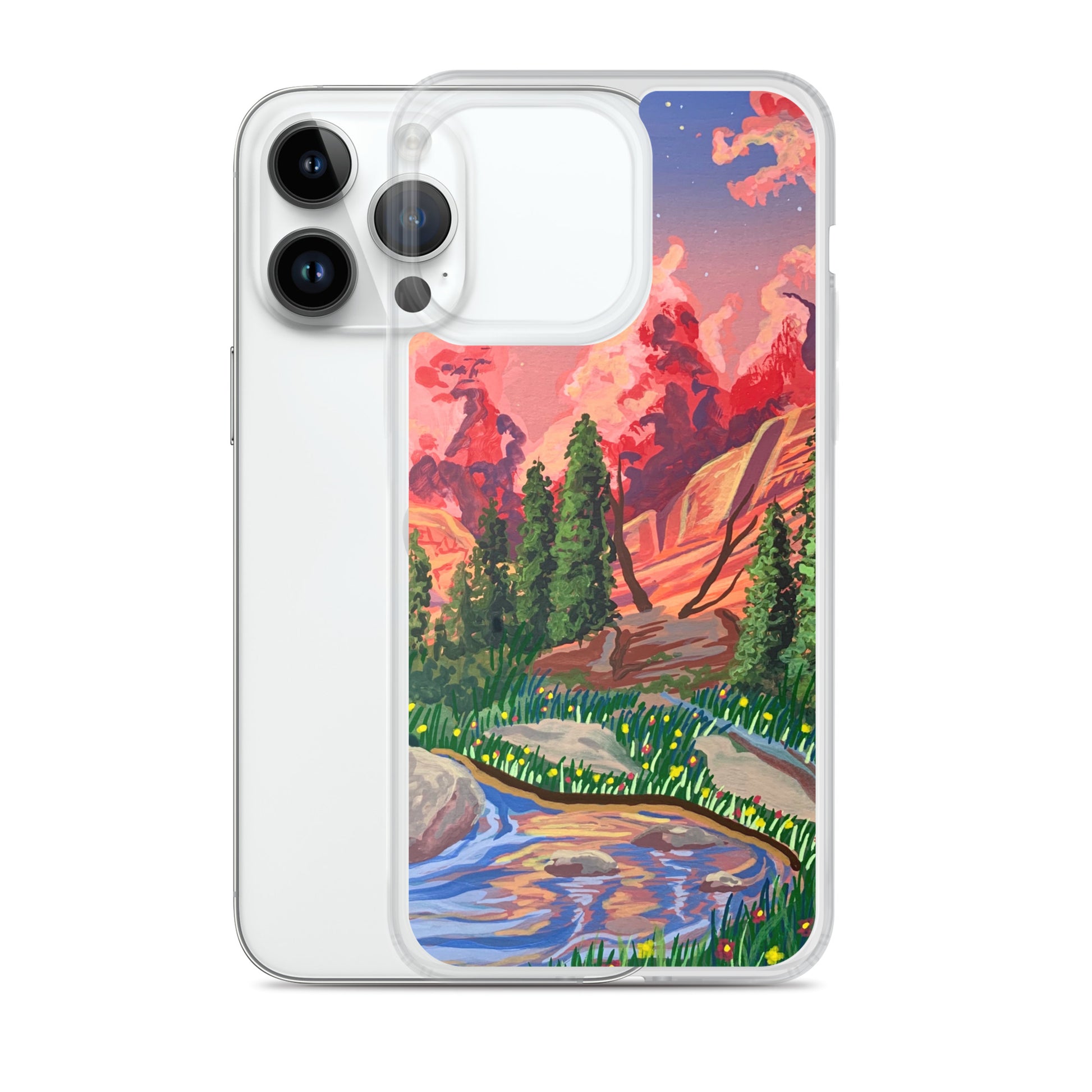 Rocky Mountain National Park iPhone Case