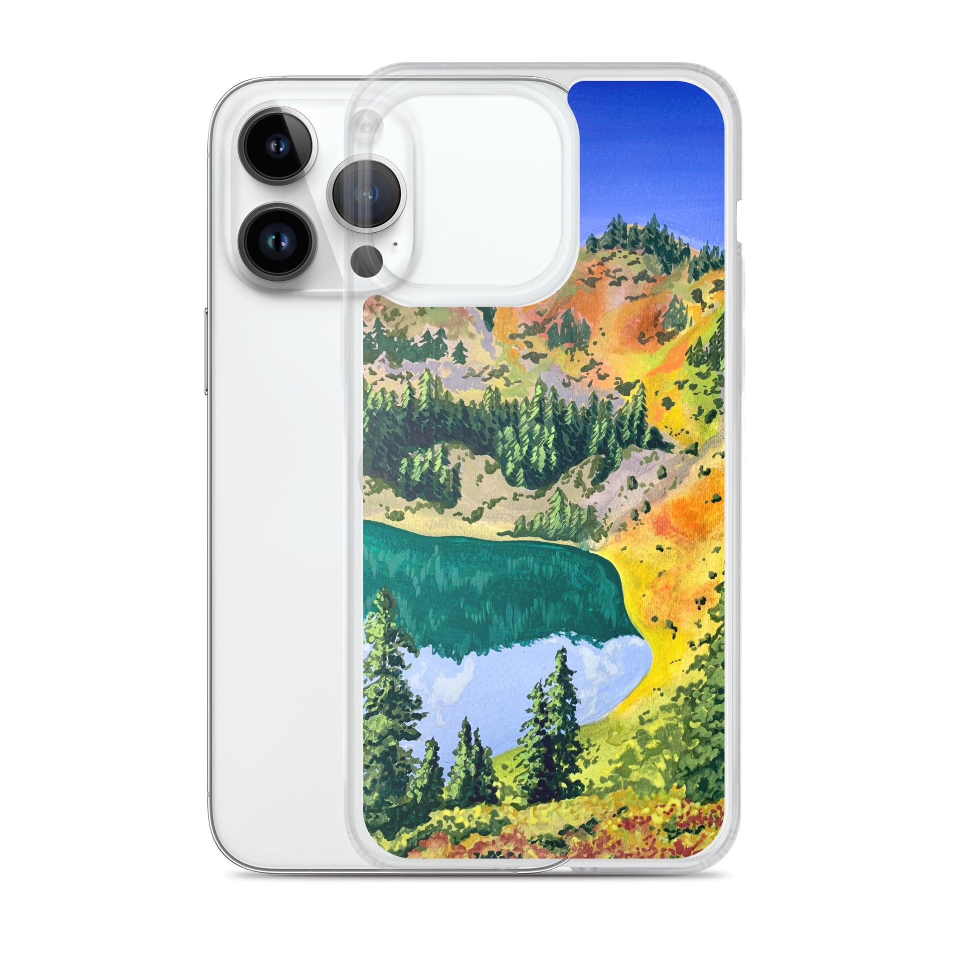 Olympic National Park iPhone Case