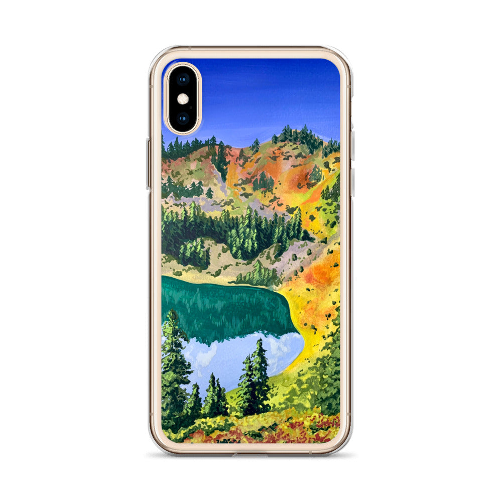 Olympic National Park iPhone Case