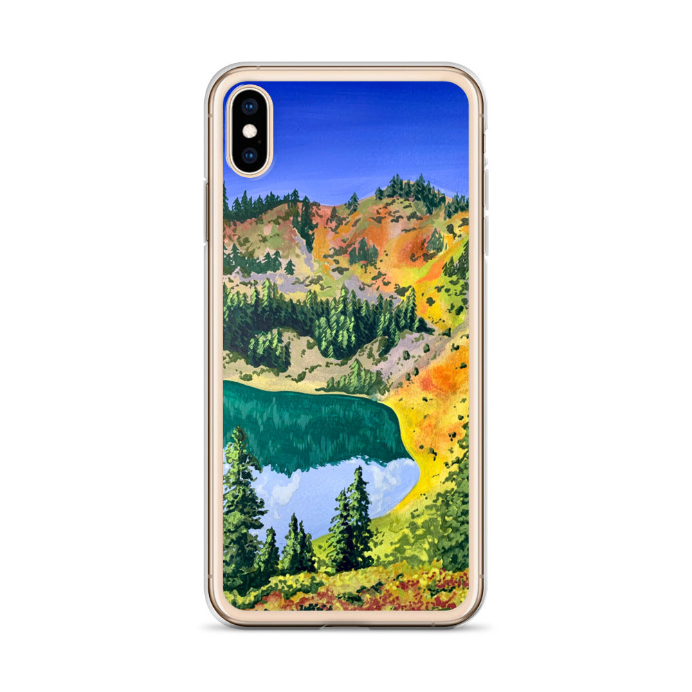 Olympic National Park iPhone Case