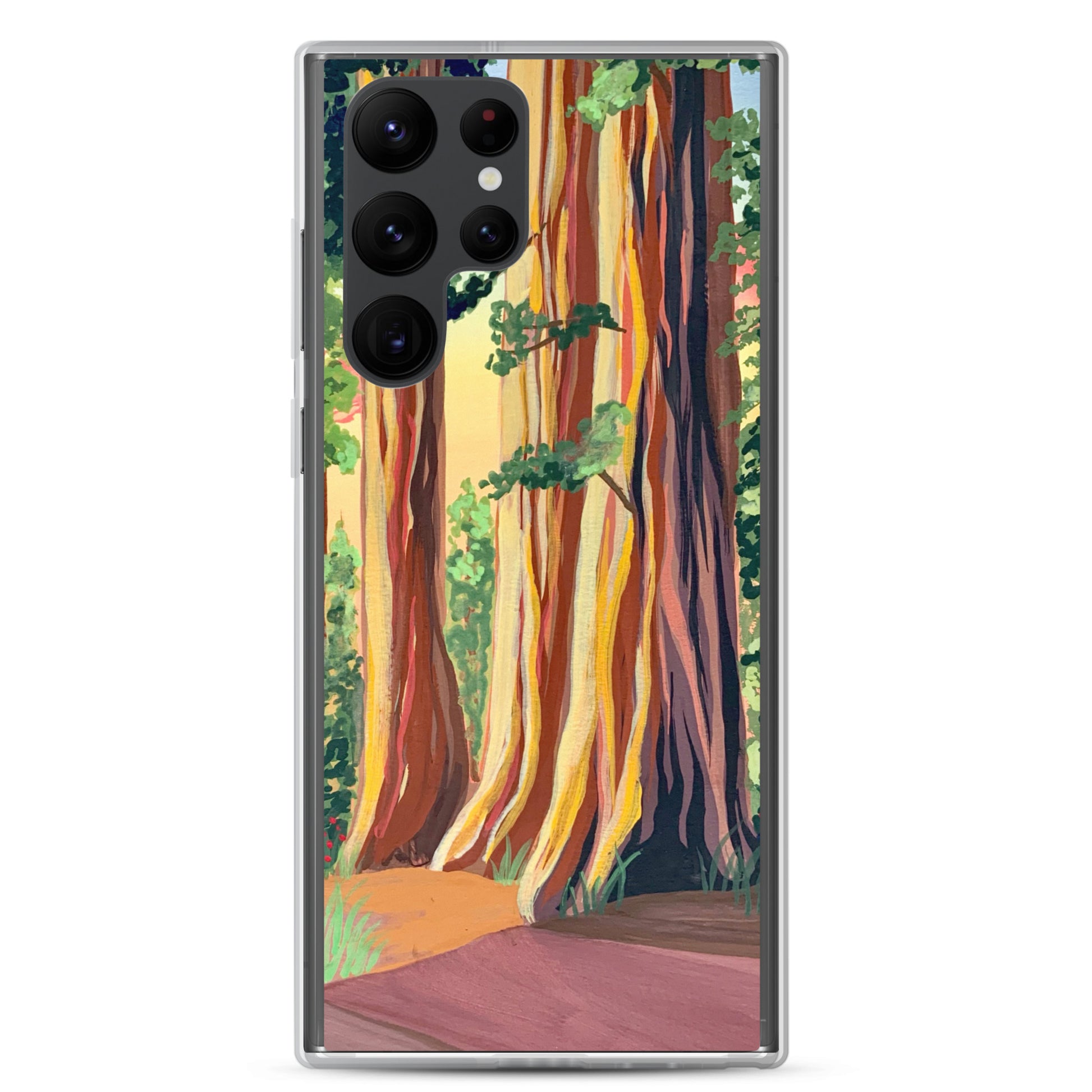 Redwoods National Park Samsung Phone Case