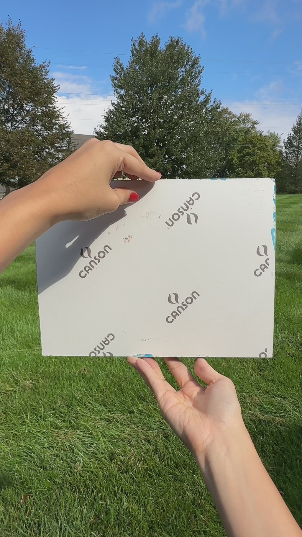 Mount Rainier National Park Original 3D Painting