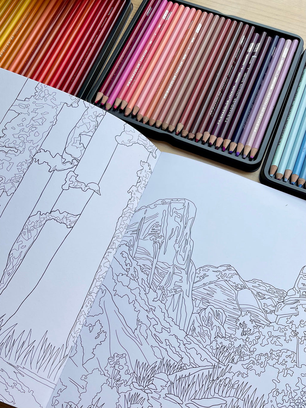 National Park Coloring Book
