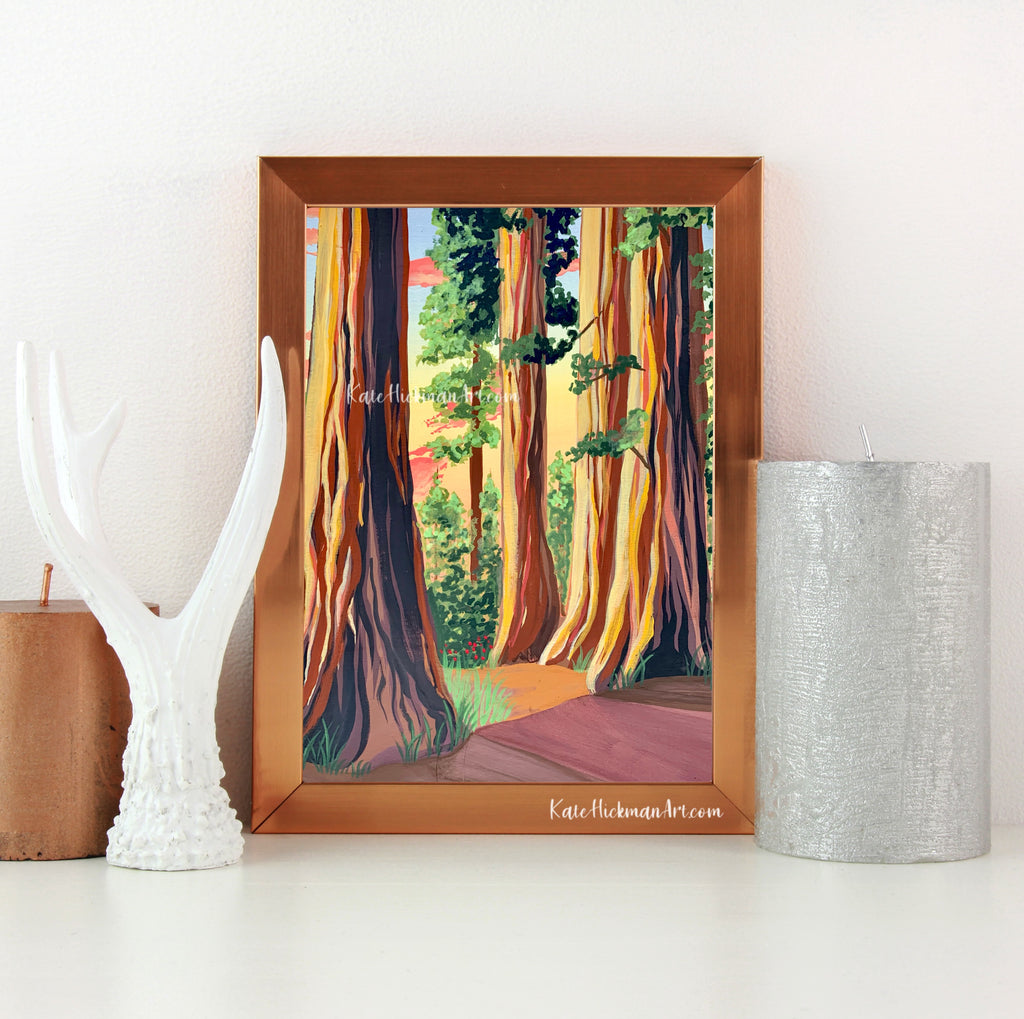 Redwood National Park Print