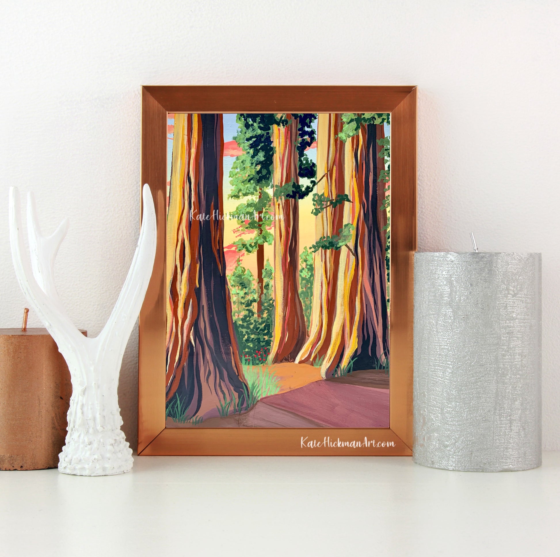Redwood National Park Print