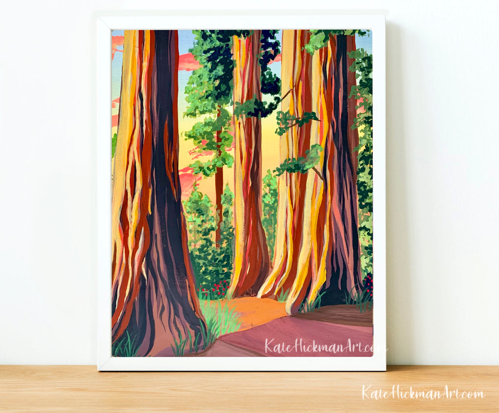 Redwood National Park Print