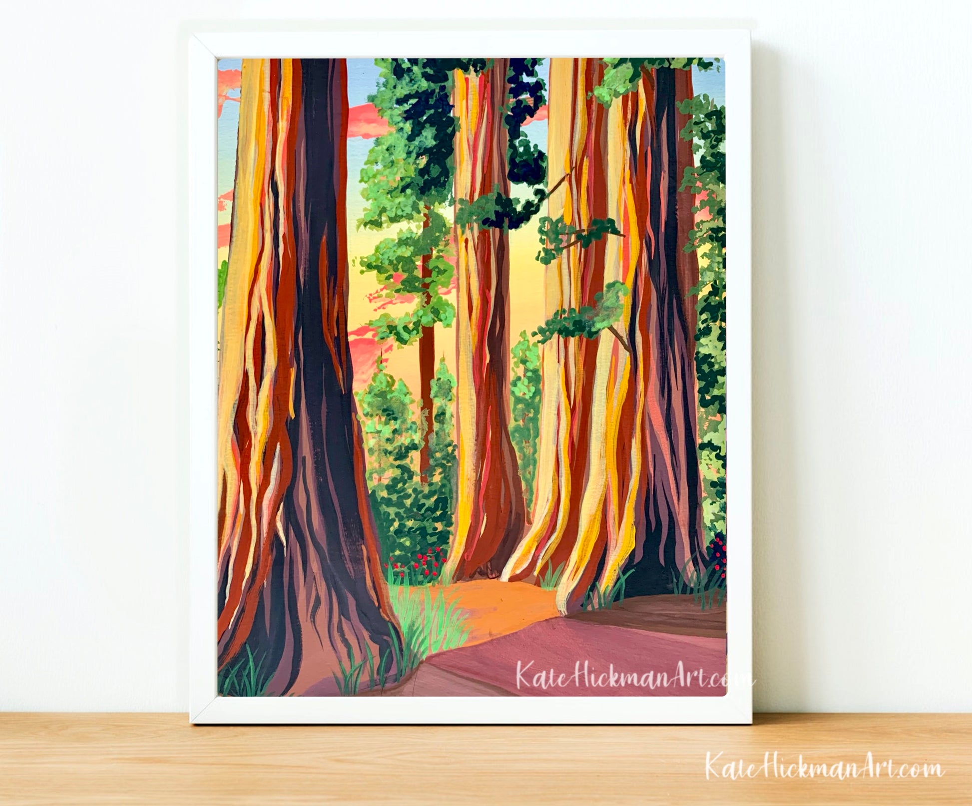 Redwood National Park Print